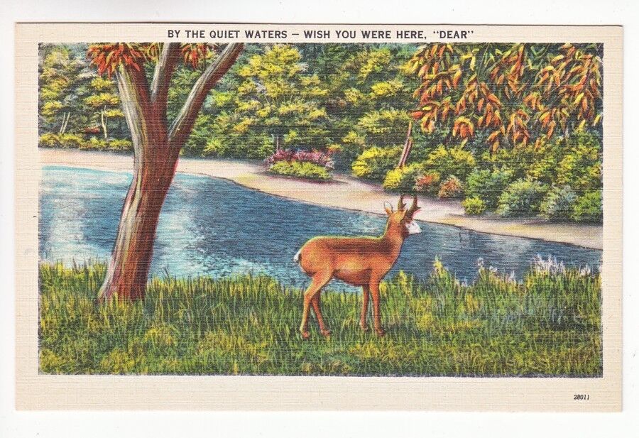 Postcard: By Quiet Waters - Deer by Lake