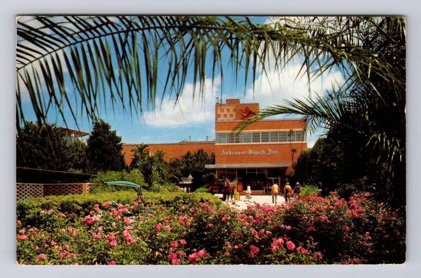 Tampa FL-Florida, Entrance To Anheuser Busch Brewery, Vintage c1973 Postcard