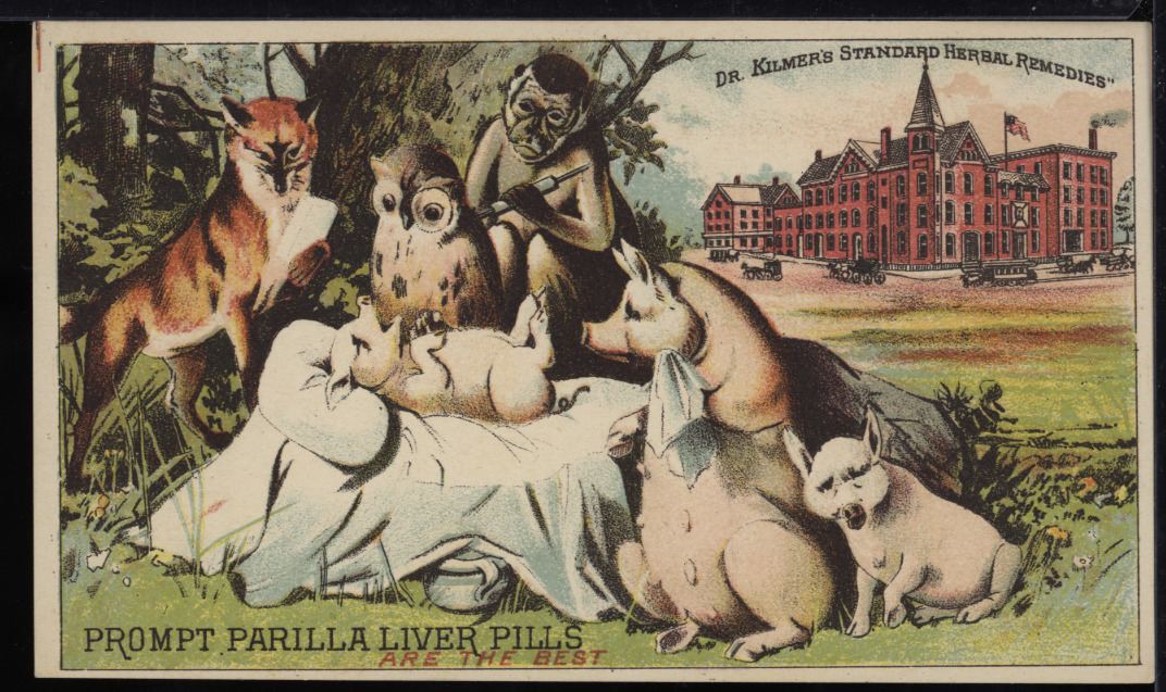 Victorian Trade Card 1880s Dr Kilmer's Standard Herbal Remedies Liver PillVTC-G8