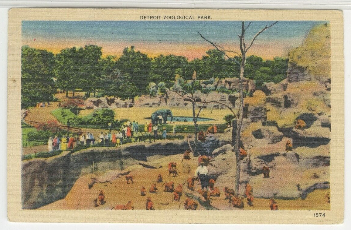 MI Postcard View Of Detroit Zoological Park - Michigan 1938 vintage linen F9