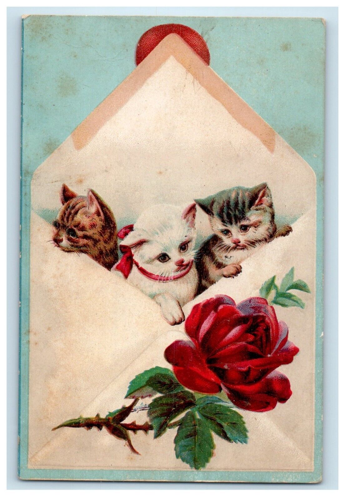 c1905 Three Cute Kitten Cats Red Rose Envelope Embossed Unposted  Postcard