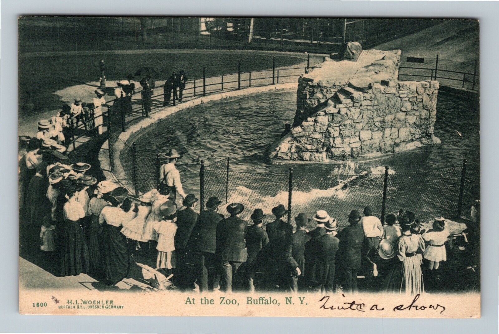 Buffalo NY-New York, Showtime At The Zoo, Pond, Visitors Vintage Postcard