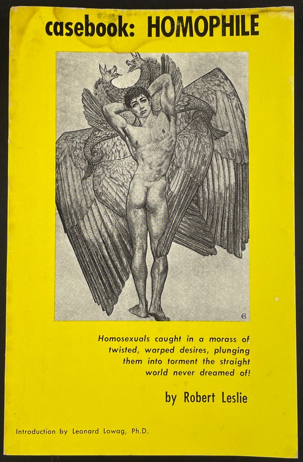 casebook: Homophile by Robert Leslie Leonard Lowag, Ph.D. 1966 homosexual edusex