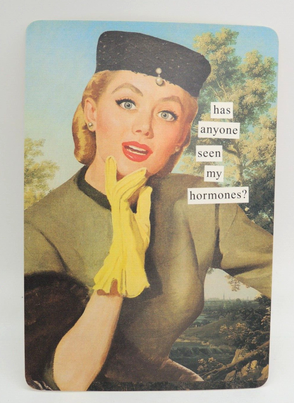 Postcard Has Anyone Seen My Hormones? - Another Day in Paradise Vintage Look