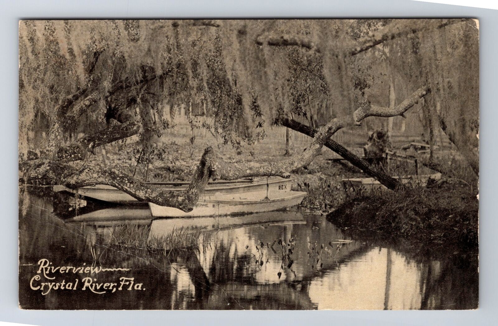 Crystal River FL-Florida, Riverview, Antique, Vintage Postcard