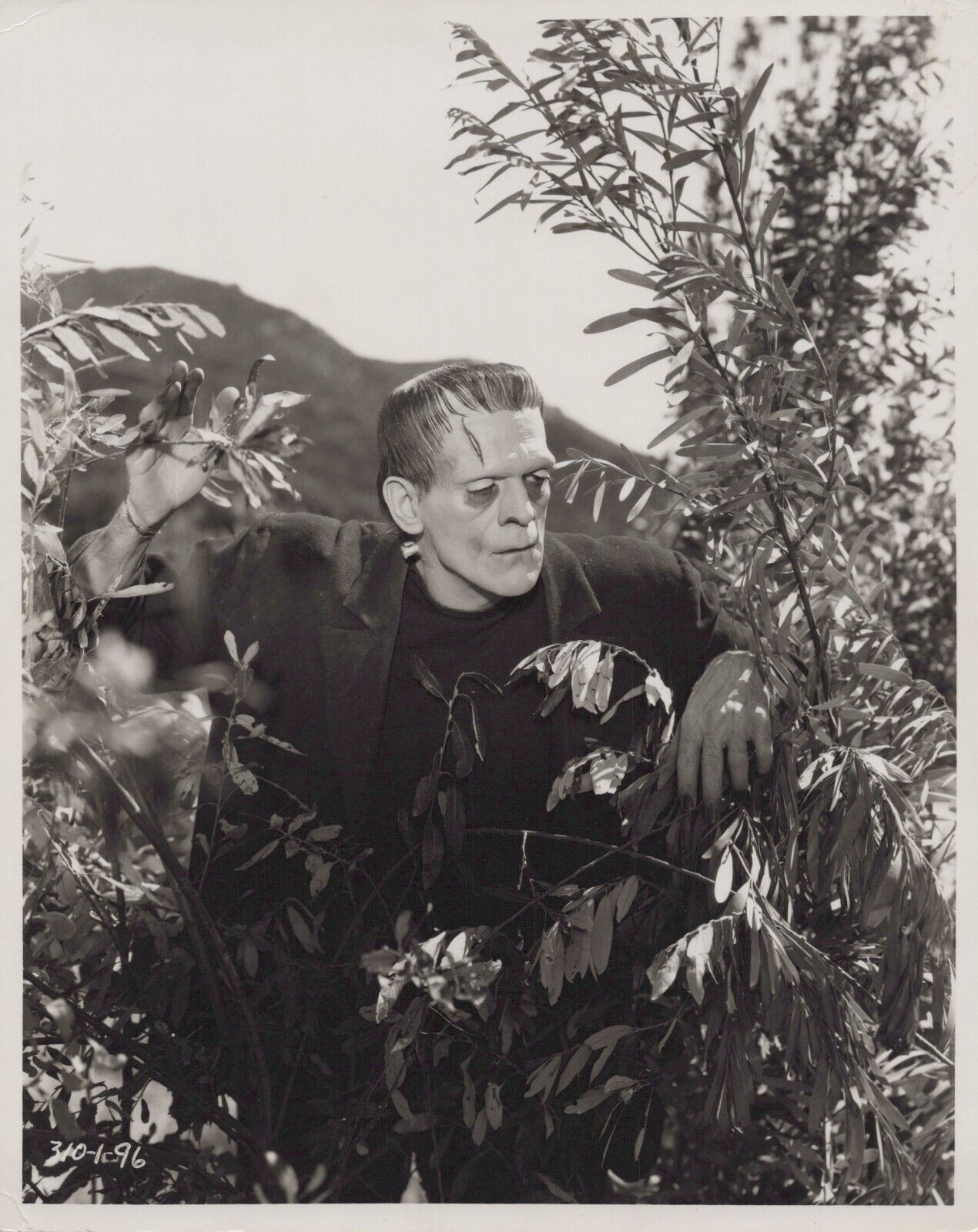 Boris Karloff in Frankenstein (1931) 🎬⭐ Original Vintage Iconic Photo K 281