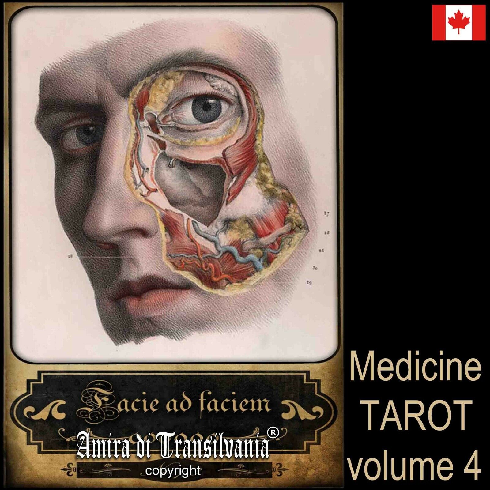 antique anatomy vintage tarot card cards deck medicine oracle surgery apothecary