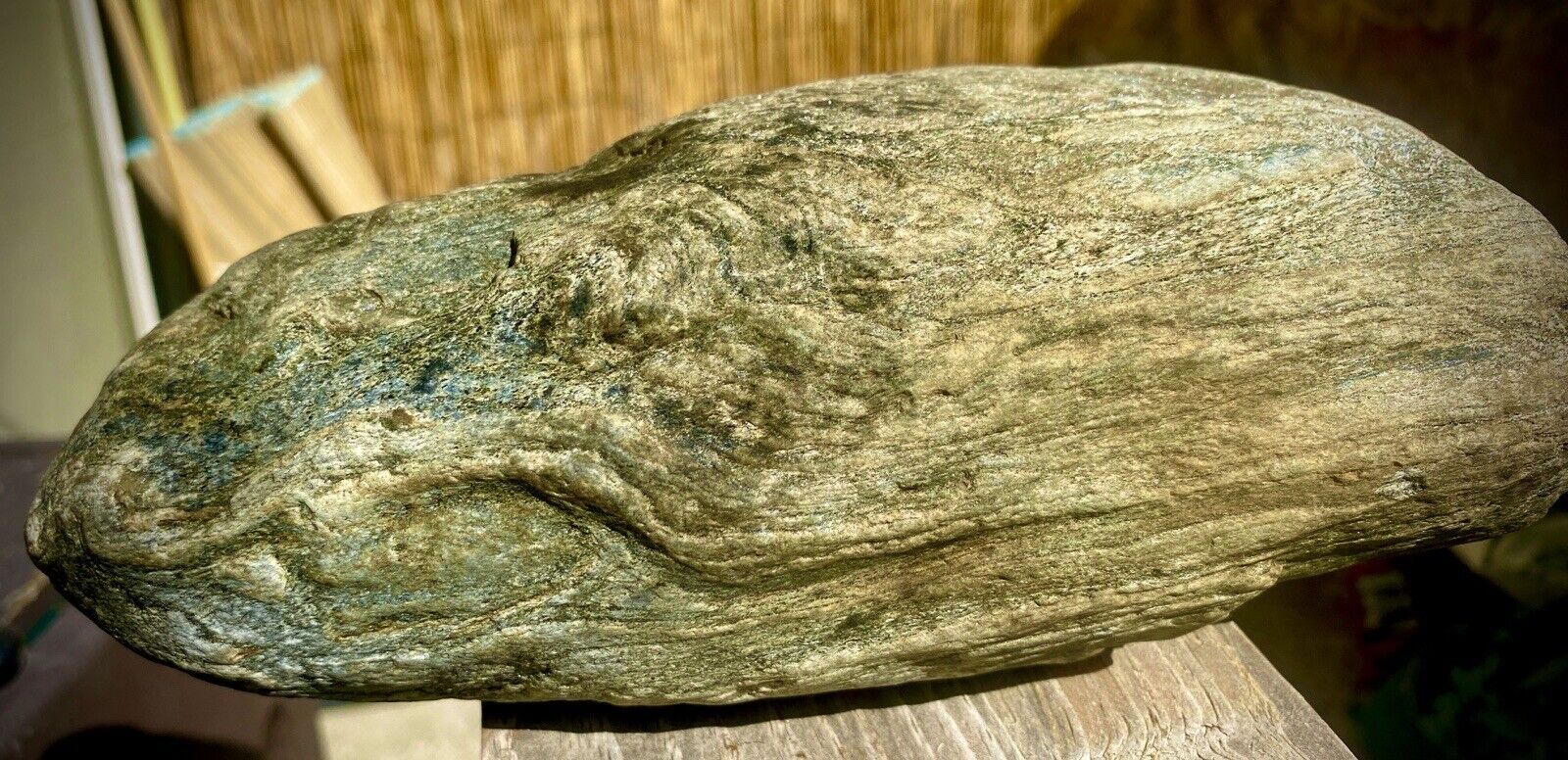 Natural Agatized Petrified Log Dense/Heavy Fossil Wood