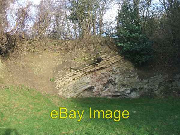 Photo 6x4 Exposed Limestone at Wren\'s Nest Dudley\\/SO9390 420 million yea c2007