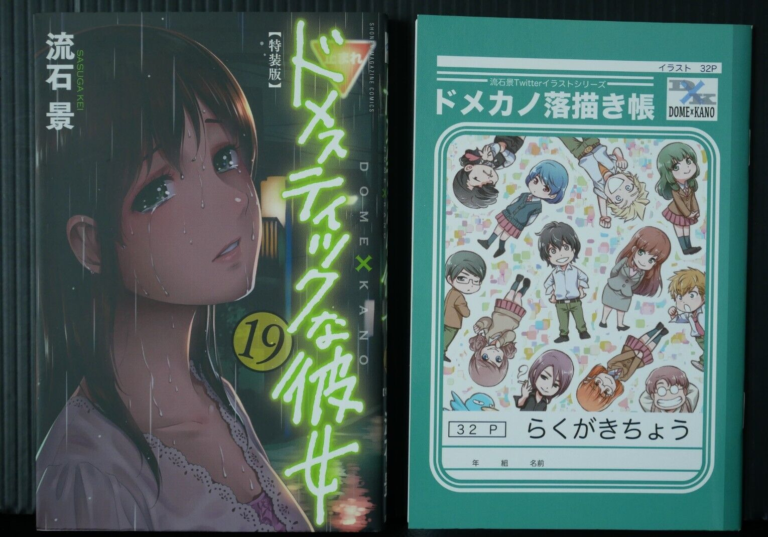 Domestic Girlfriend vol.19 - Special Edition Manga by Kei Sasuga - JAPAN