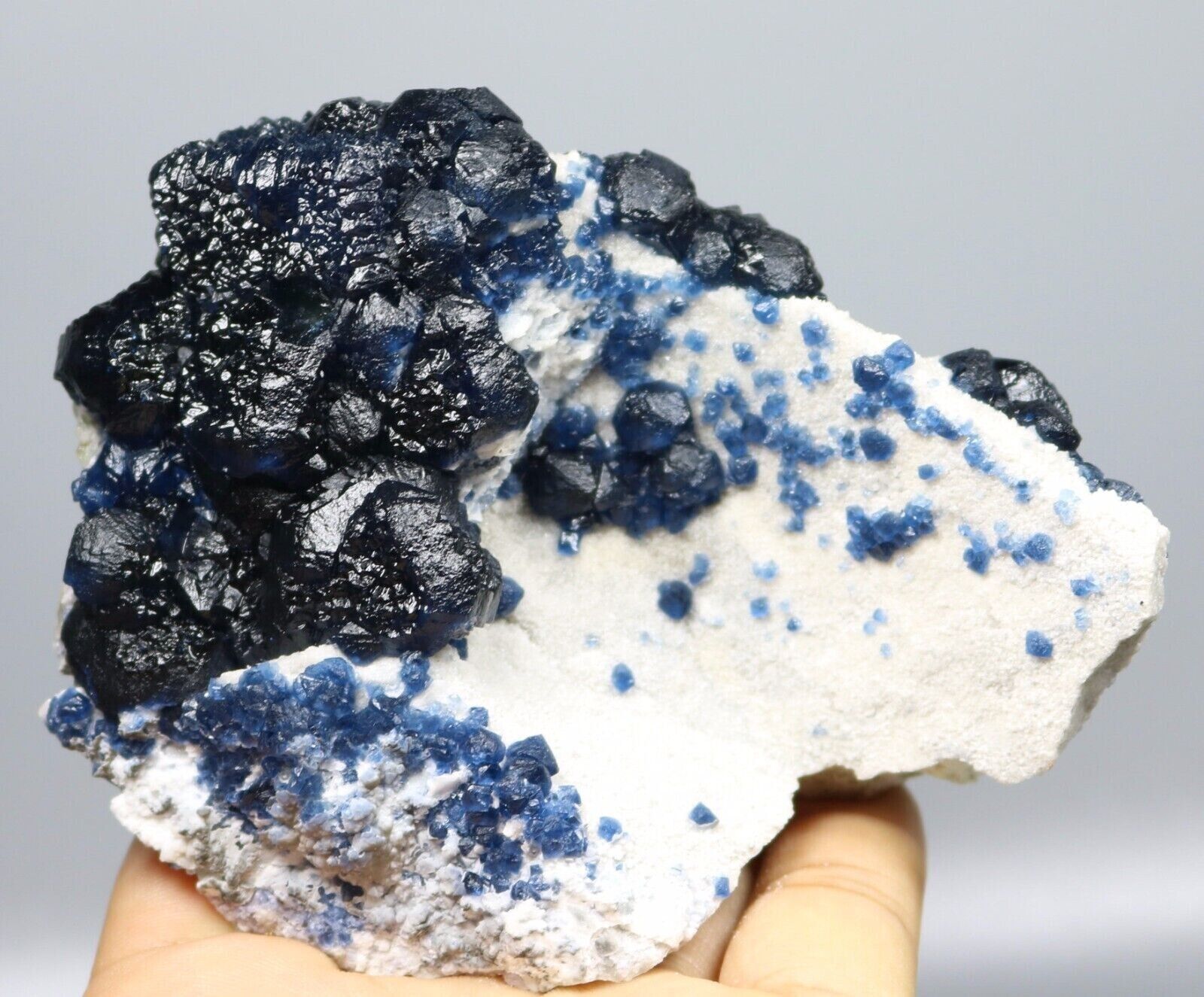 Amazing Blue Fluorite on white Quartz cluster Fine Mineral Specimen / China