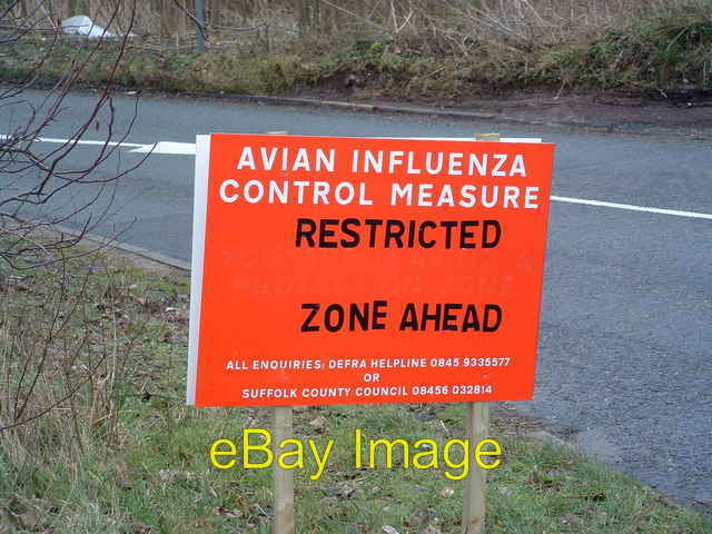 Photo 6x4 Avian Influenza ( Bird Flu ) Sign Coddenham Green Avian influen c2007