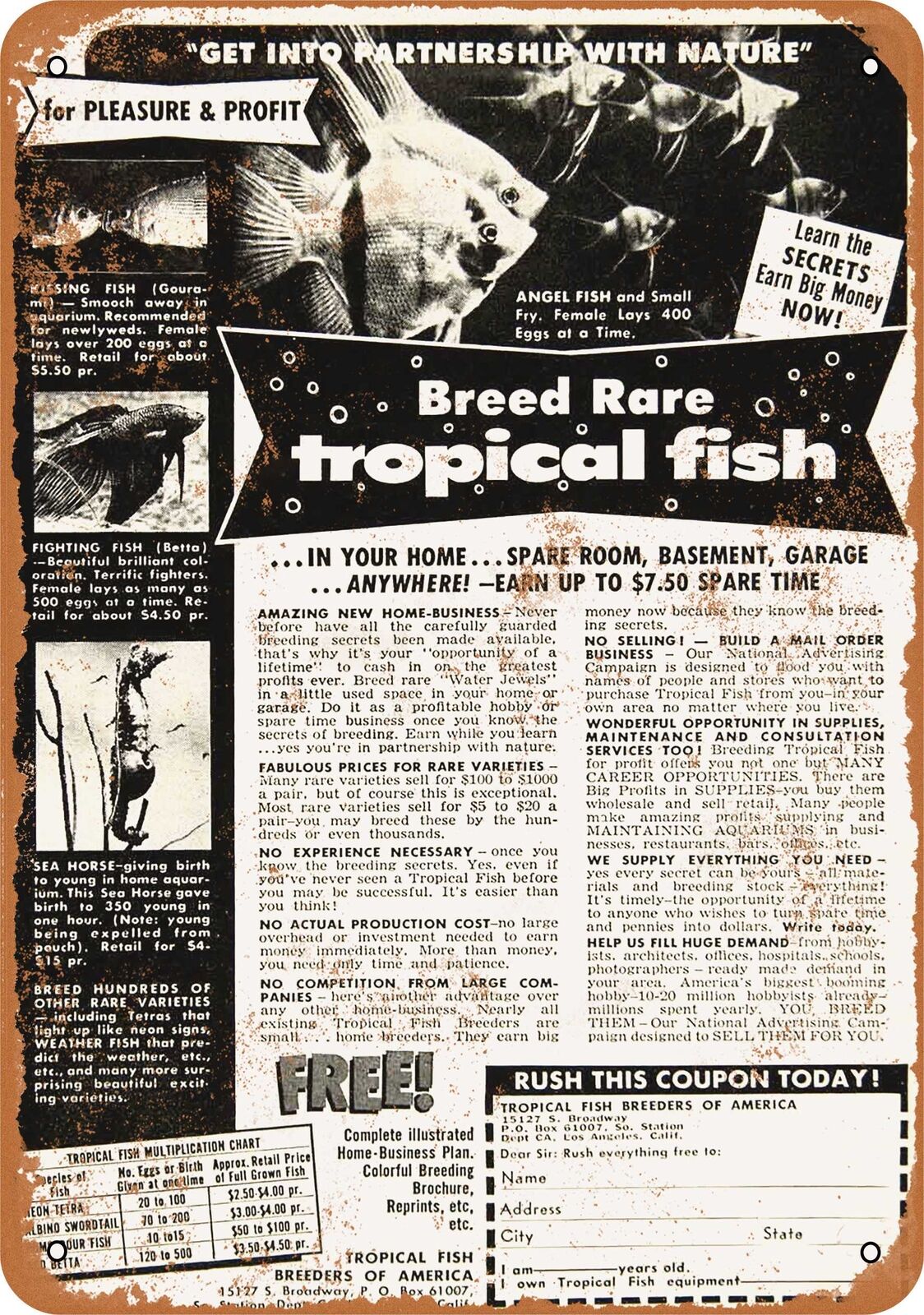 Metal Sign - 1953 Breed Rare Tropical Fish - Vintage Look Reproduction