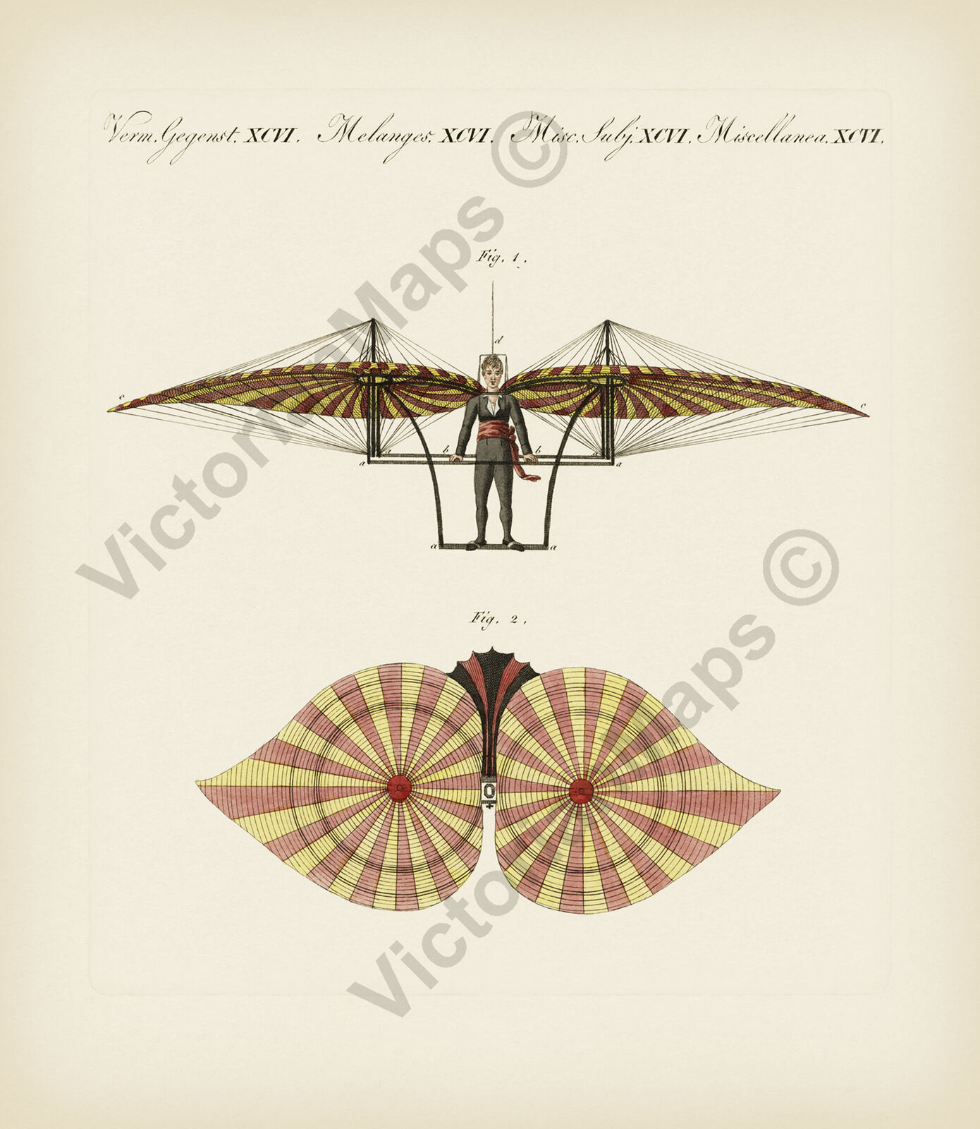 Degen's Flying machine ornithopter early aviation Bertush 1807 art print poster