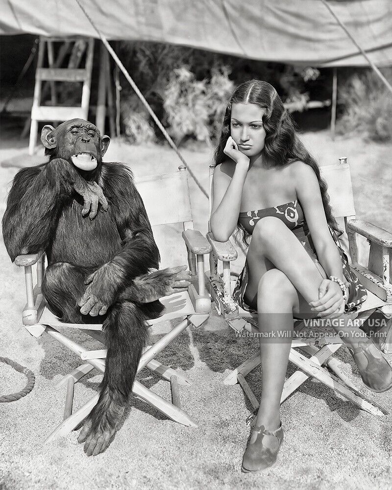Dorothy Lamour w/ Jiggs the Chimpanzee “Her Jungle Love” 1938 Movie Promo Photo