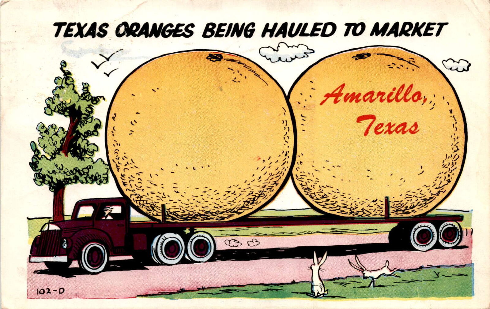 Vintage Postcard: Ses Roberts in Pack Falls, Texas