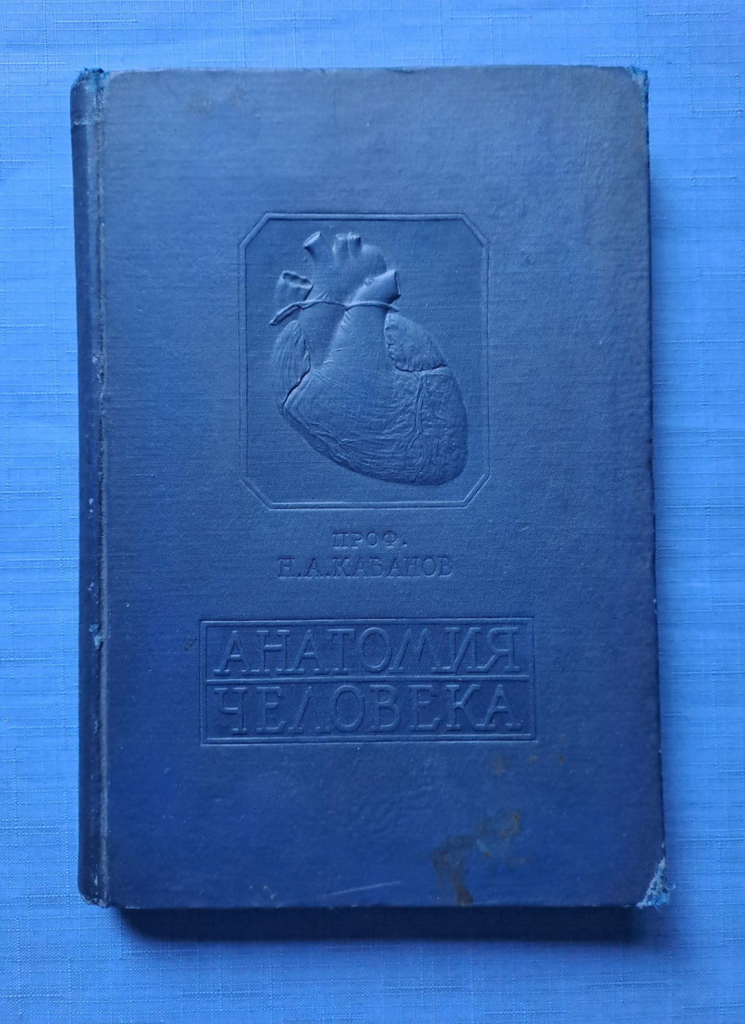 1938 Human anatomy Prof. N.Kabanov Medicine Physiology Physician Russian book