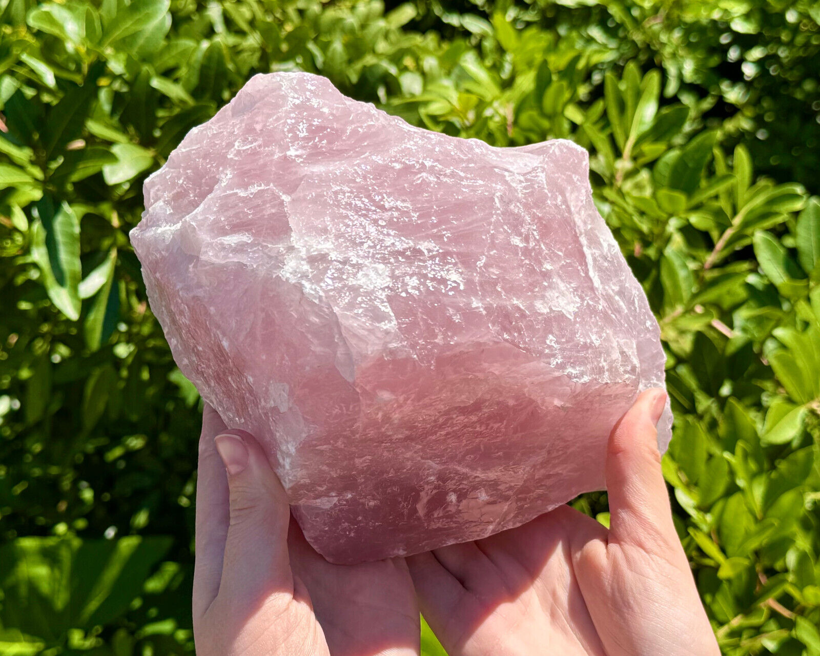 JUMBO Rose Quartz Natural Raw Crystals - Choose Size Huge Chunks (Love Stone)