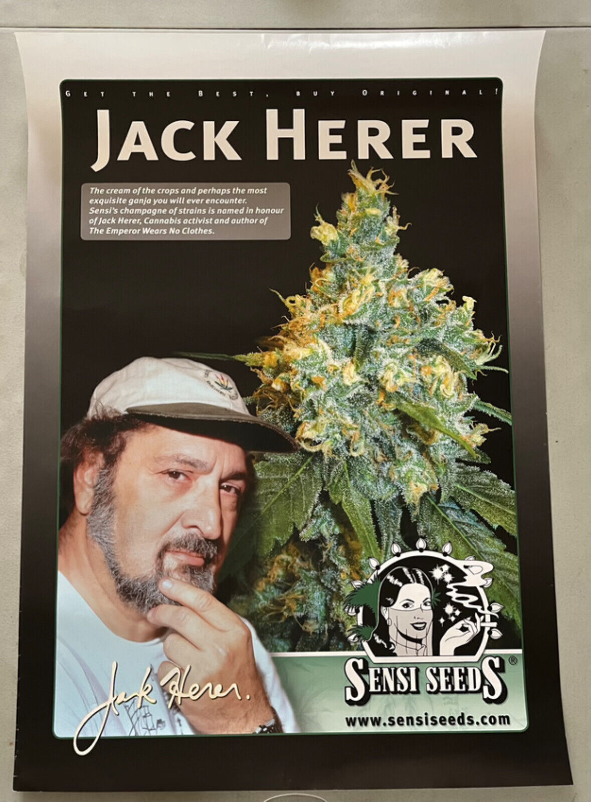 Vintage marijuana poster Jack Herer Amsterdam cannabis Emperor hemp Sensi cause