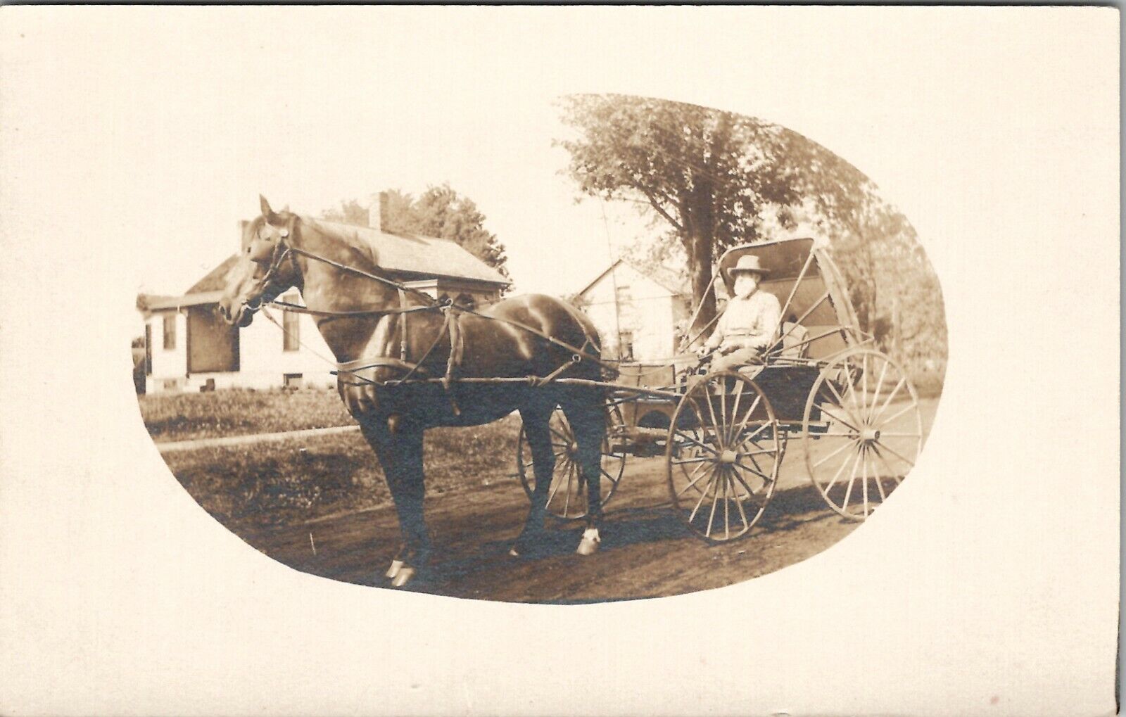 RPPC Elderly Man Horse Drawn Buggy Carriage c1907 Real Photo Postcard U17