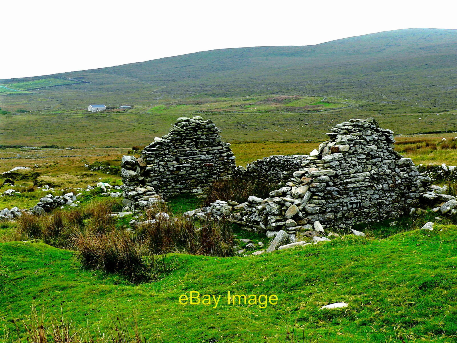 Photo 12x8 Achill Island - Deserted Village - Cottage Ruins &  a Habitable Cotta