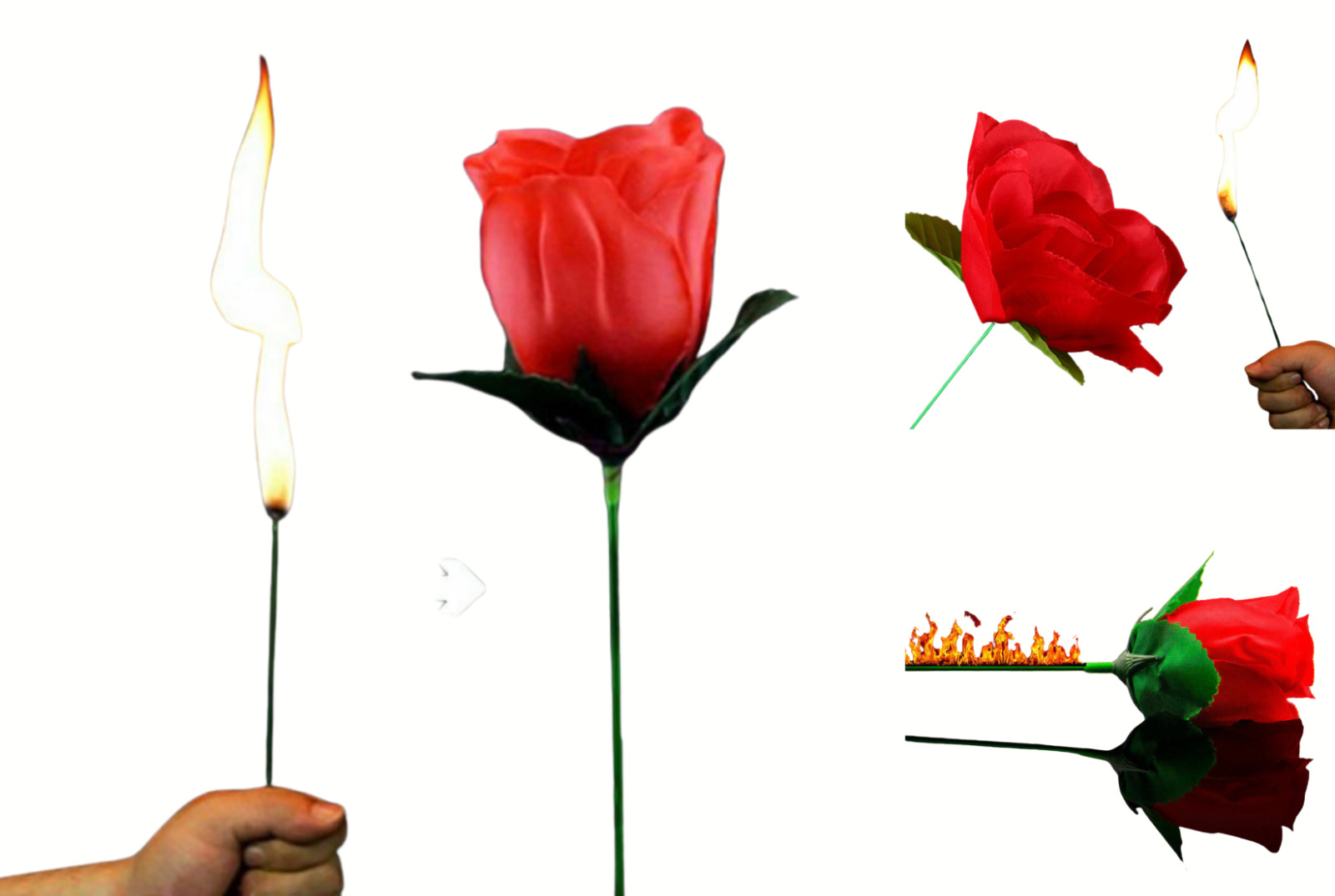 One The Torch to Rose Magic Trick – A Mesmerizing Illusion of Transformation