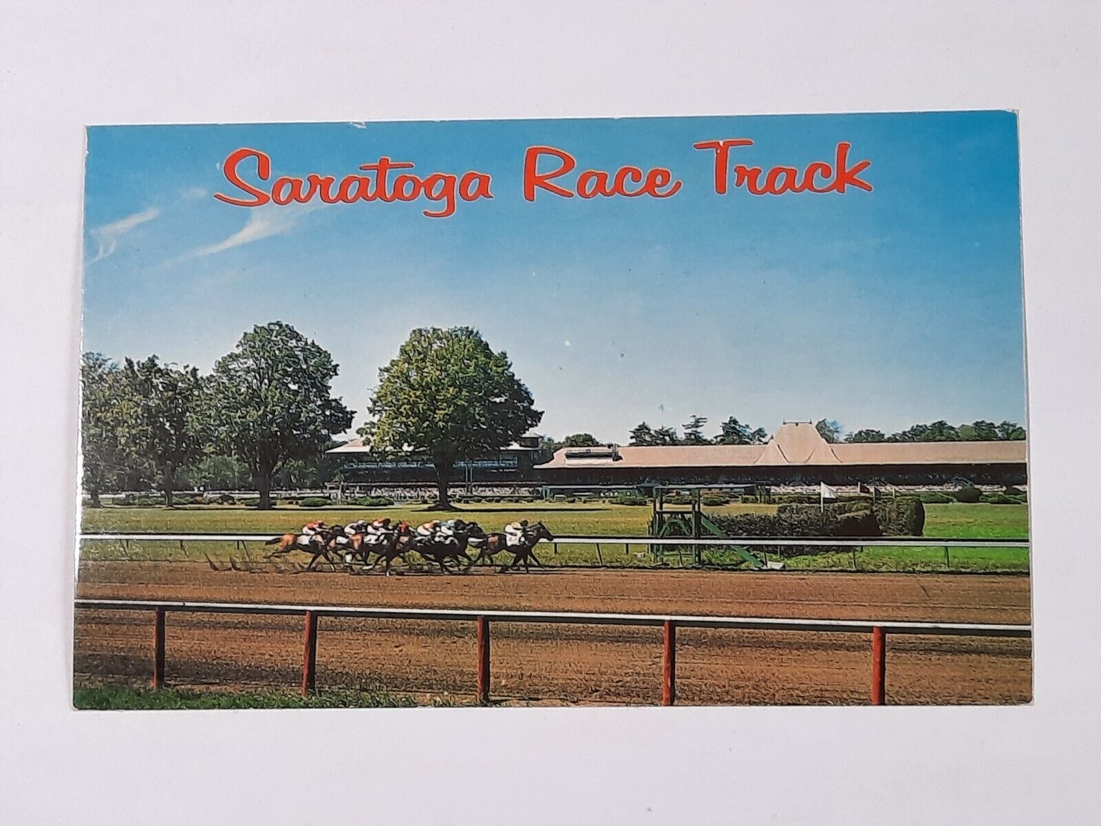 Saratoga Race Track P38063 New York Horse Racing Vintage Postcard