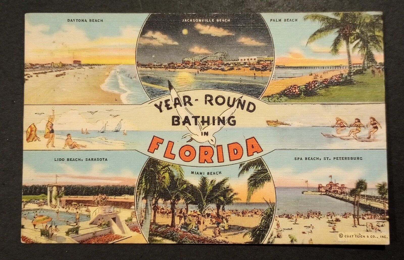  Florida  Year Round Bathing In Florida  Vintage  Postcard 