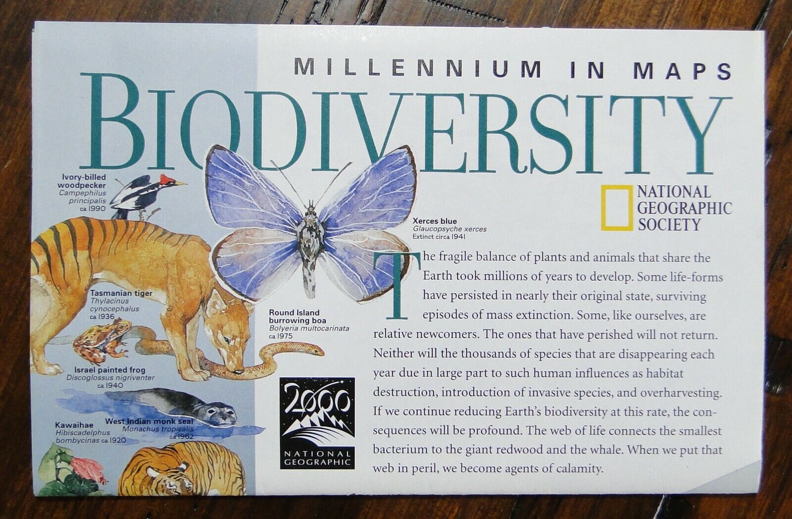 Map poster Millennium in maps Biodiversity Nat Geo National Geographic Magazine
