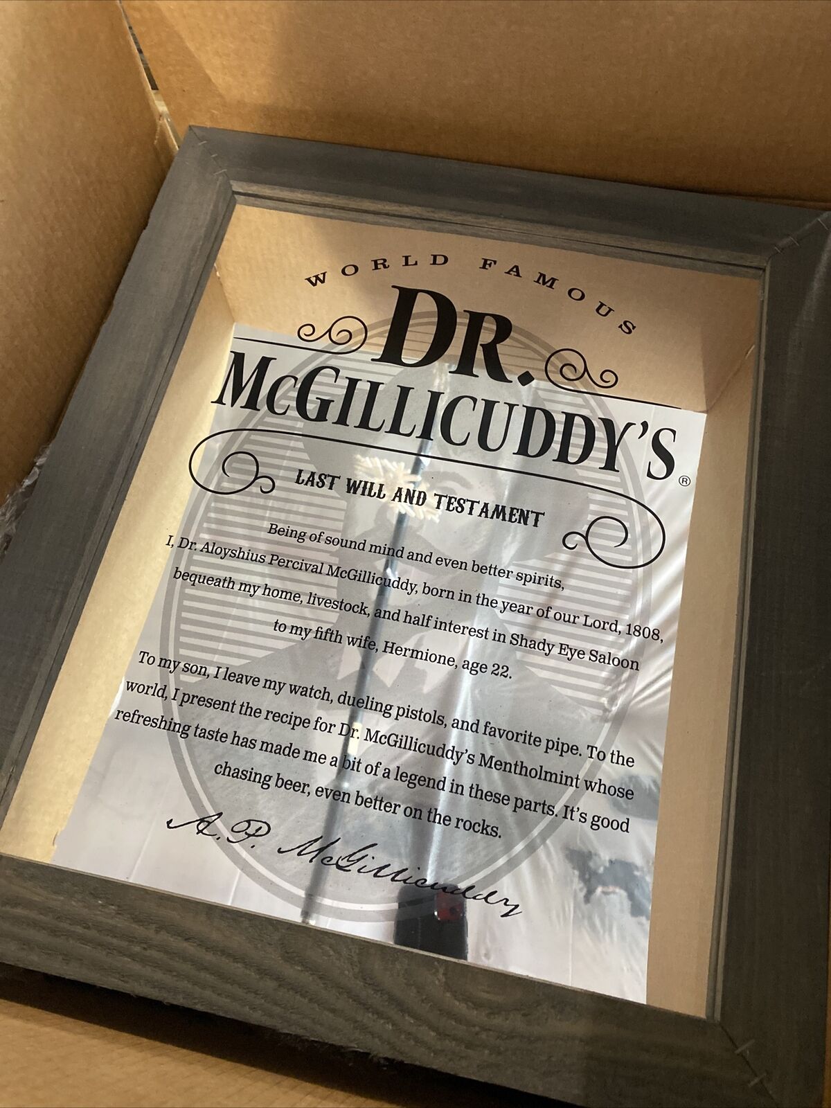 dr. mcgillicuddy's last will and testament Metal bar mirror in frame