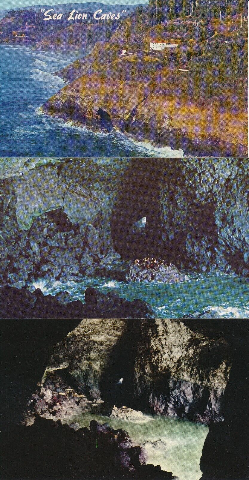 3 Sea Lion Caves, Florence, OR. Postcards