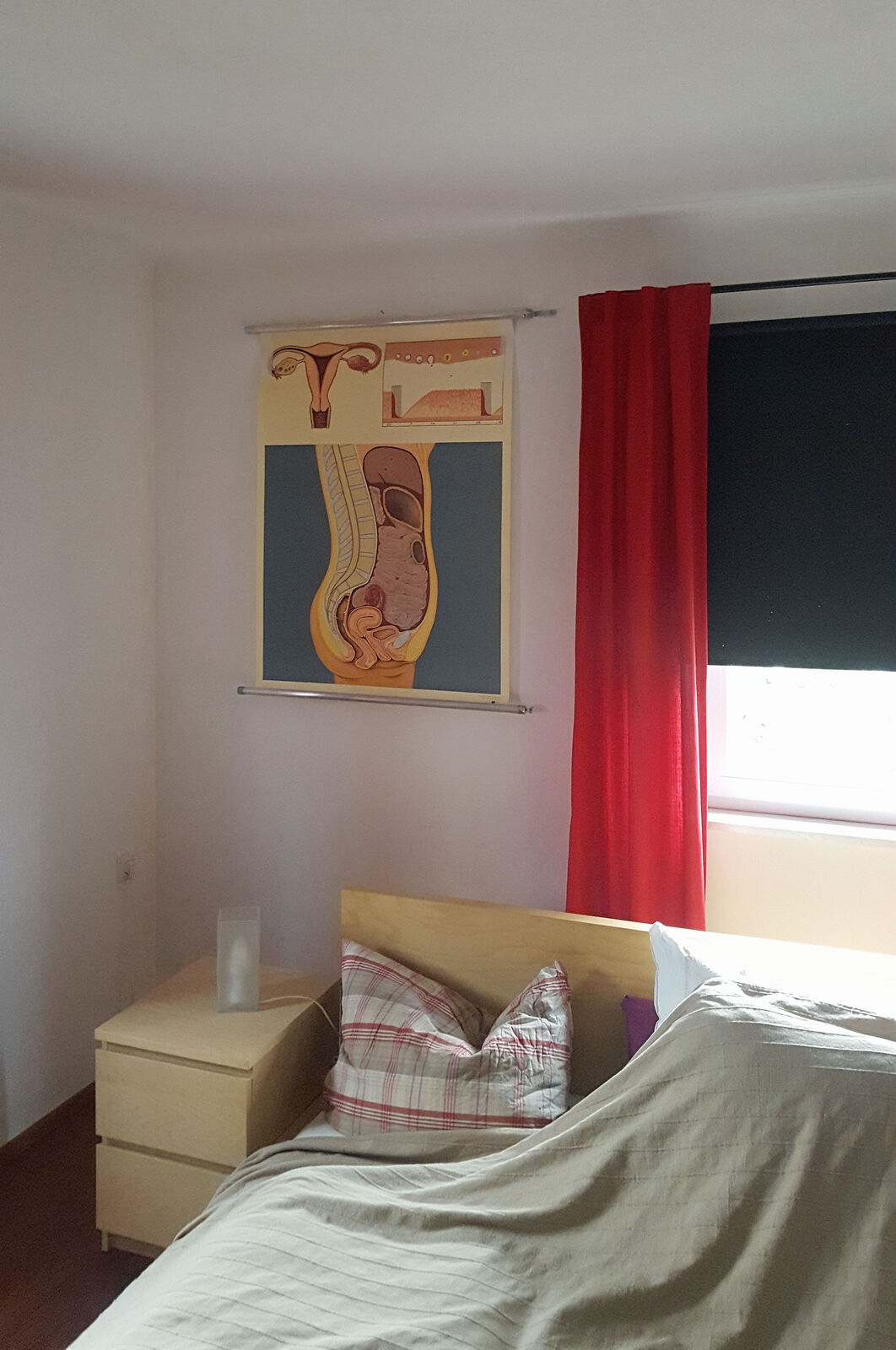 vintage wall chart, waiting room, gynecology, vagina, woman, female body