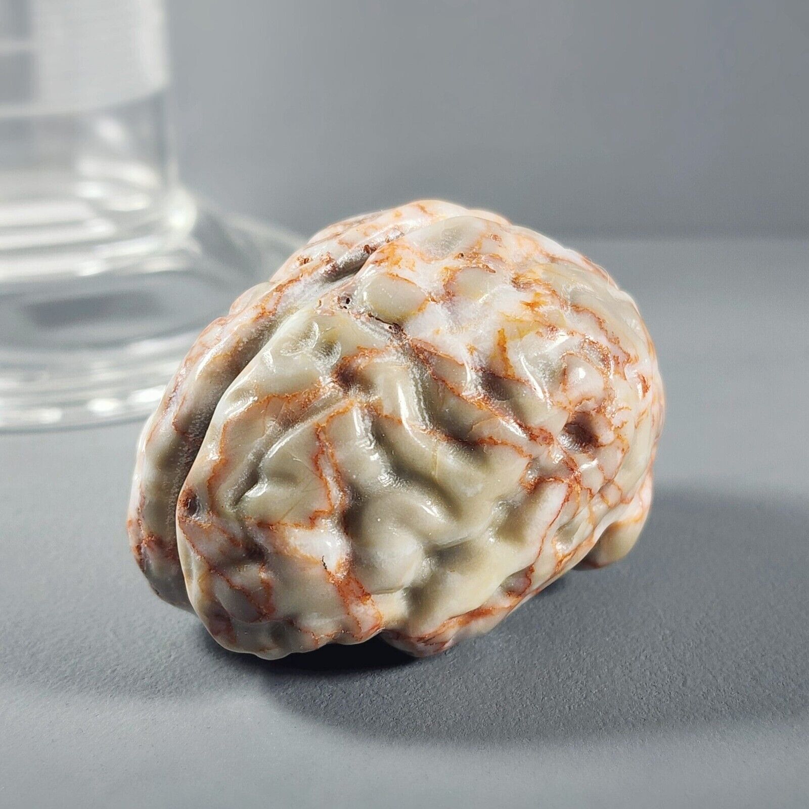 Carved Brain, Red Net Jasper Human Brain Gemstone