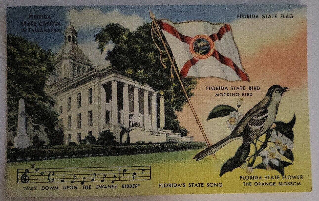 Florida State Capitol In Tallahassee And Flag, Bird, Song Vintage Postcard 1957