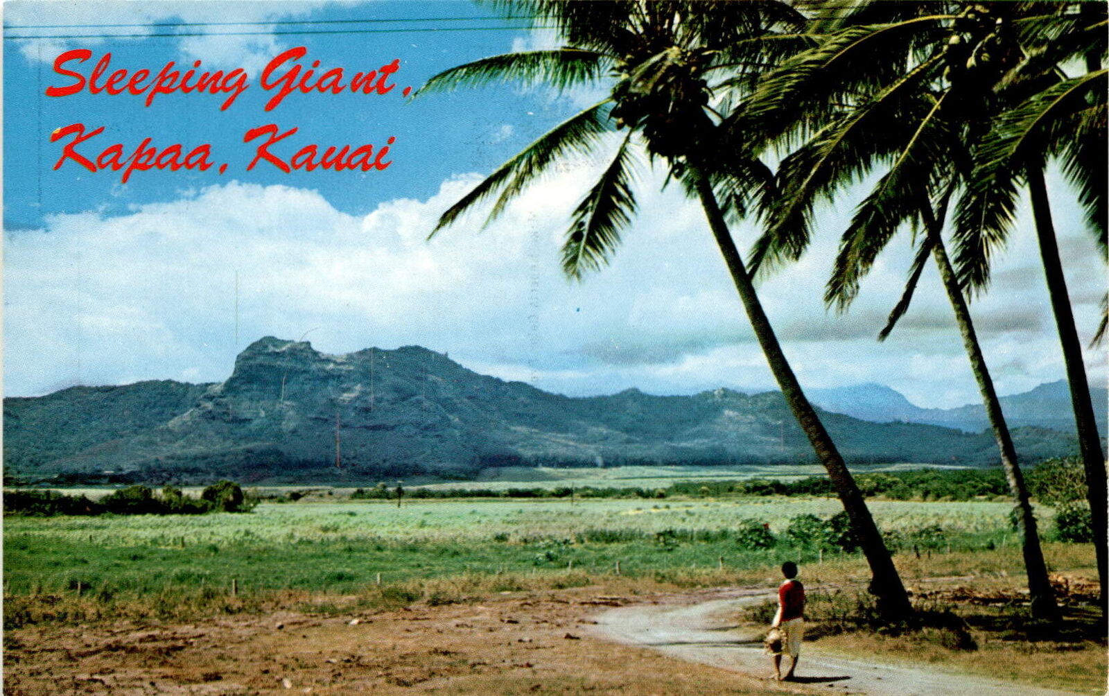 Sleeping Giant Kapaa Kauai Hawaii Mountain formation Postcard
