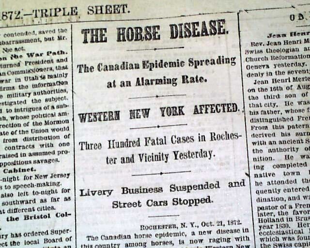 1872 HORSE FLU Equine Influenza A Epizootic Epidemic Disease Outbreak Newspaper 