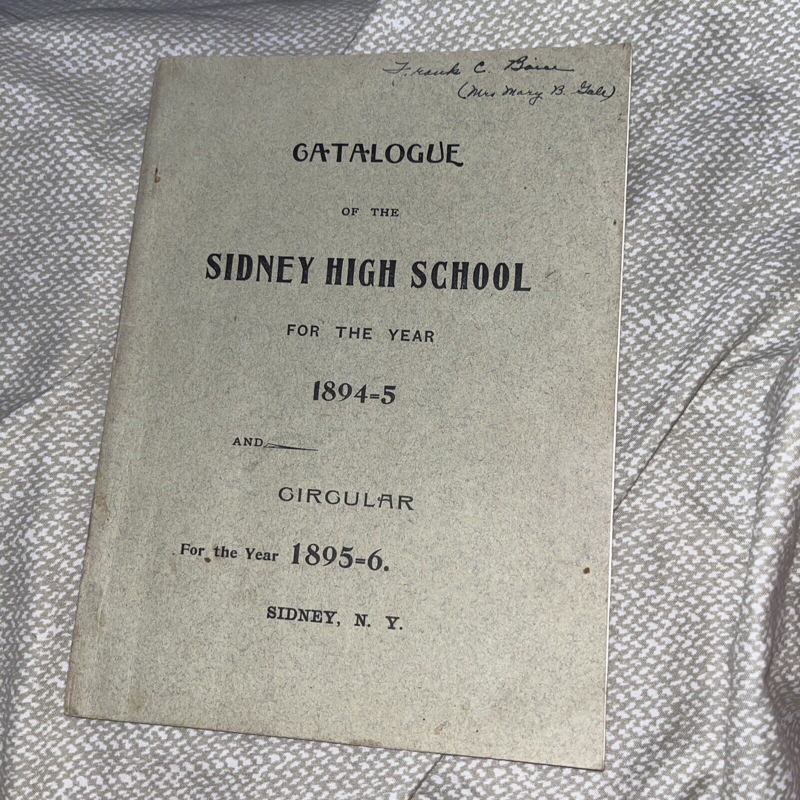 1894 - 1895 Catalogue of the Sidney High School & 95-96 Circular New York NY
