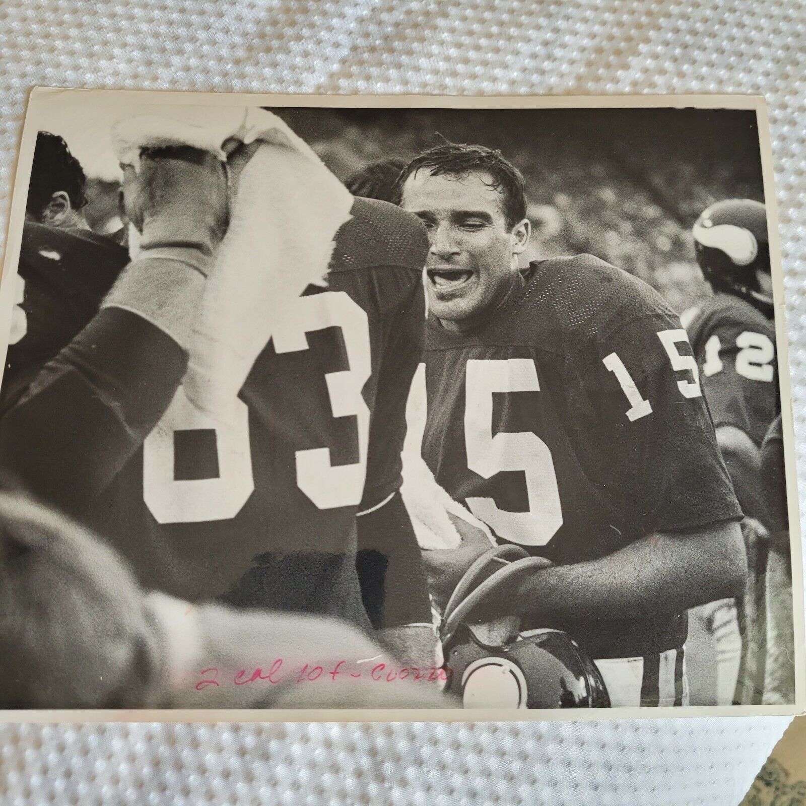 Gary Cuozzo Minnesota Vikings Press Photo 15 Undated Home Game? Black & White