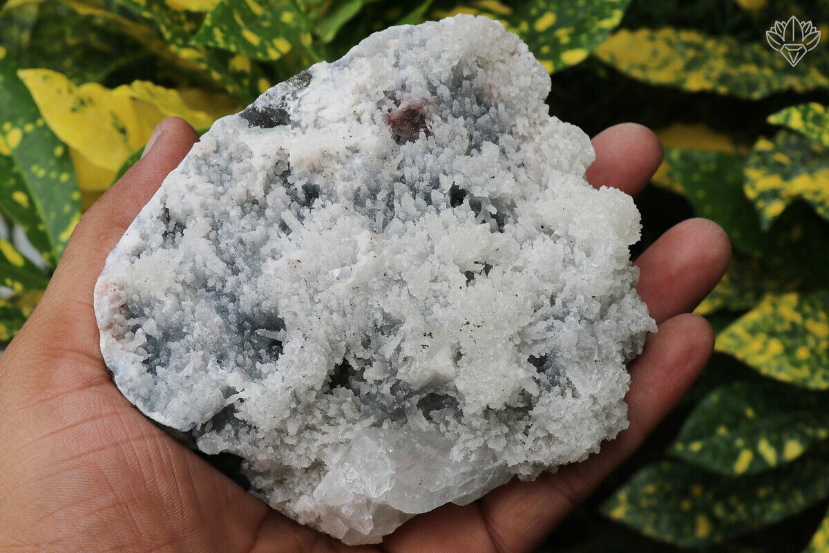 567 gm Chalcedony Apophyllite Natural Rough Meditation Minerals Specimen