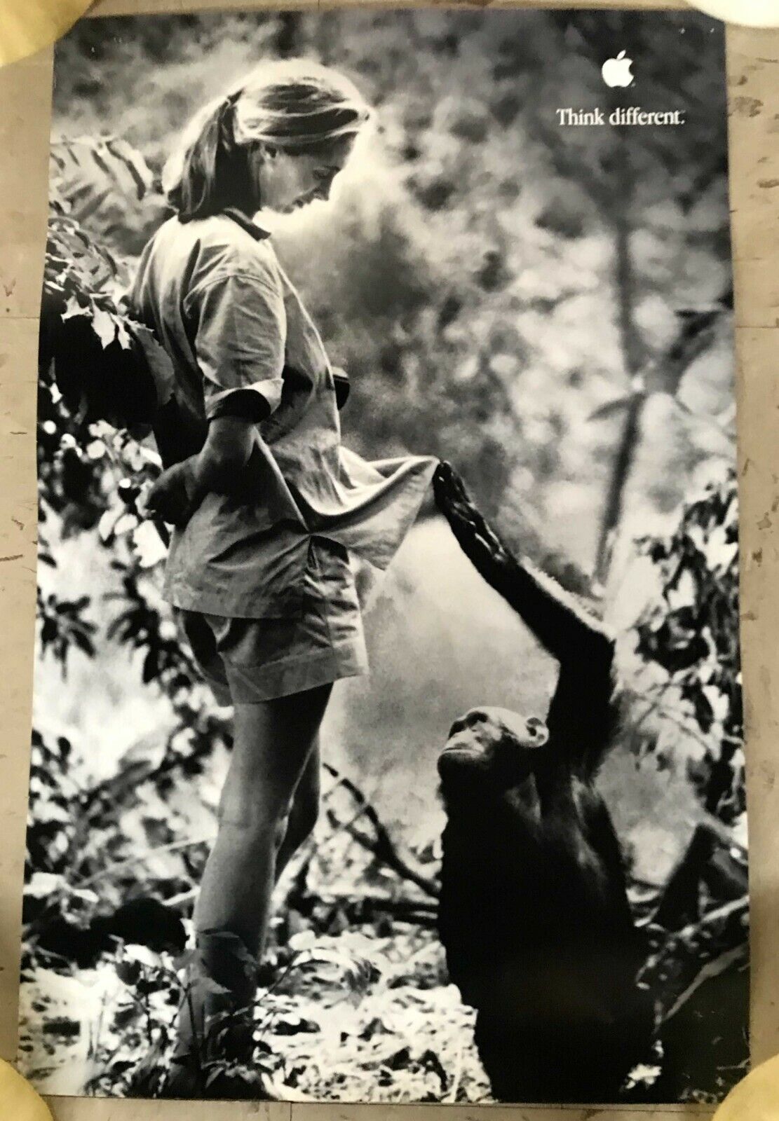 Jane Goodall Apple \