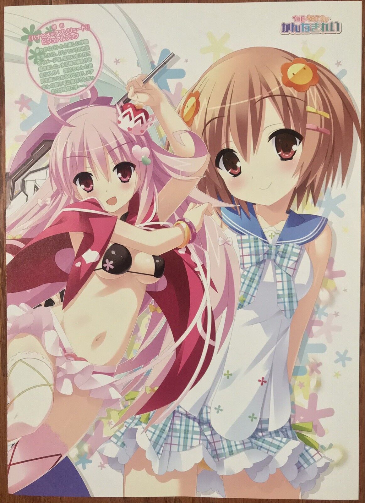 Double Sided Anime Girl Poster: Battle Girl, DJ Girl