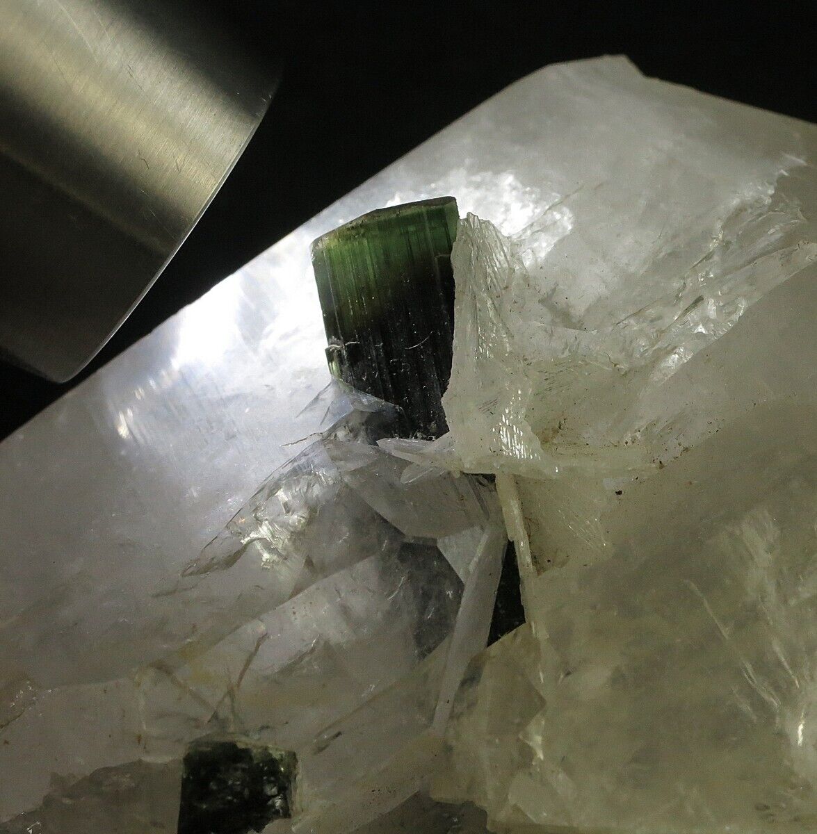 625 CARAT TERMINATED ZONING TOURMALINE CRYSTAL GROWING OUT OF QUARTZ CRYSTAL