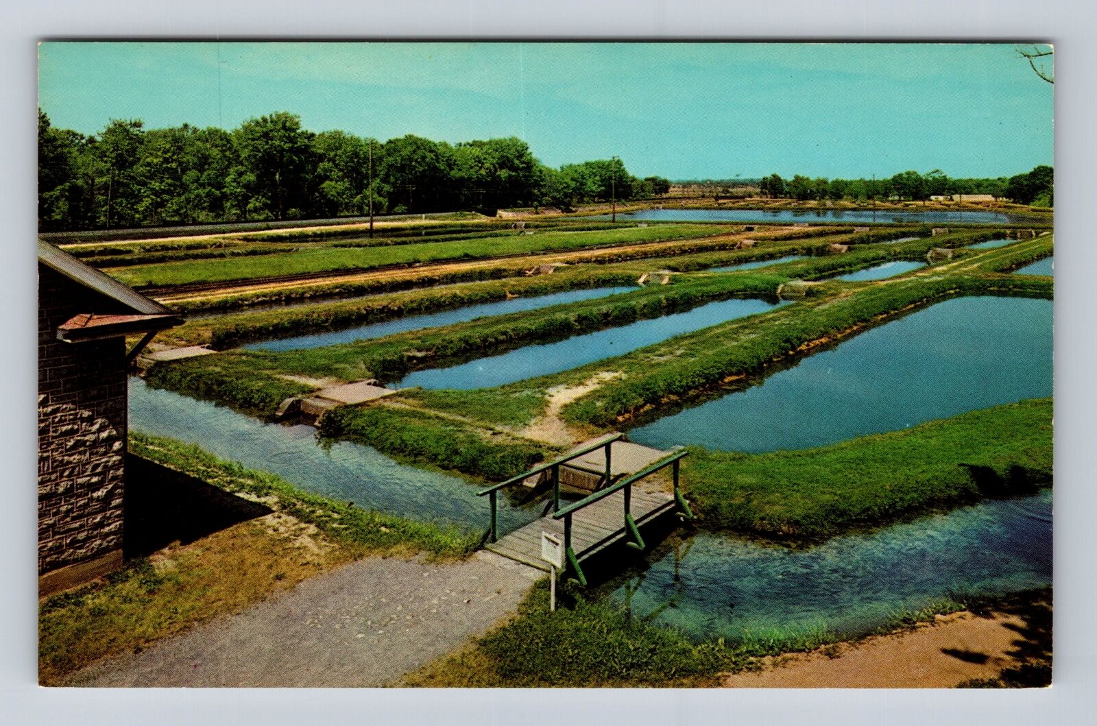 Huntsdale PA-Pennsylvania, State\'s Fish Hatchery, Antique Vintage Postcard