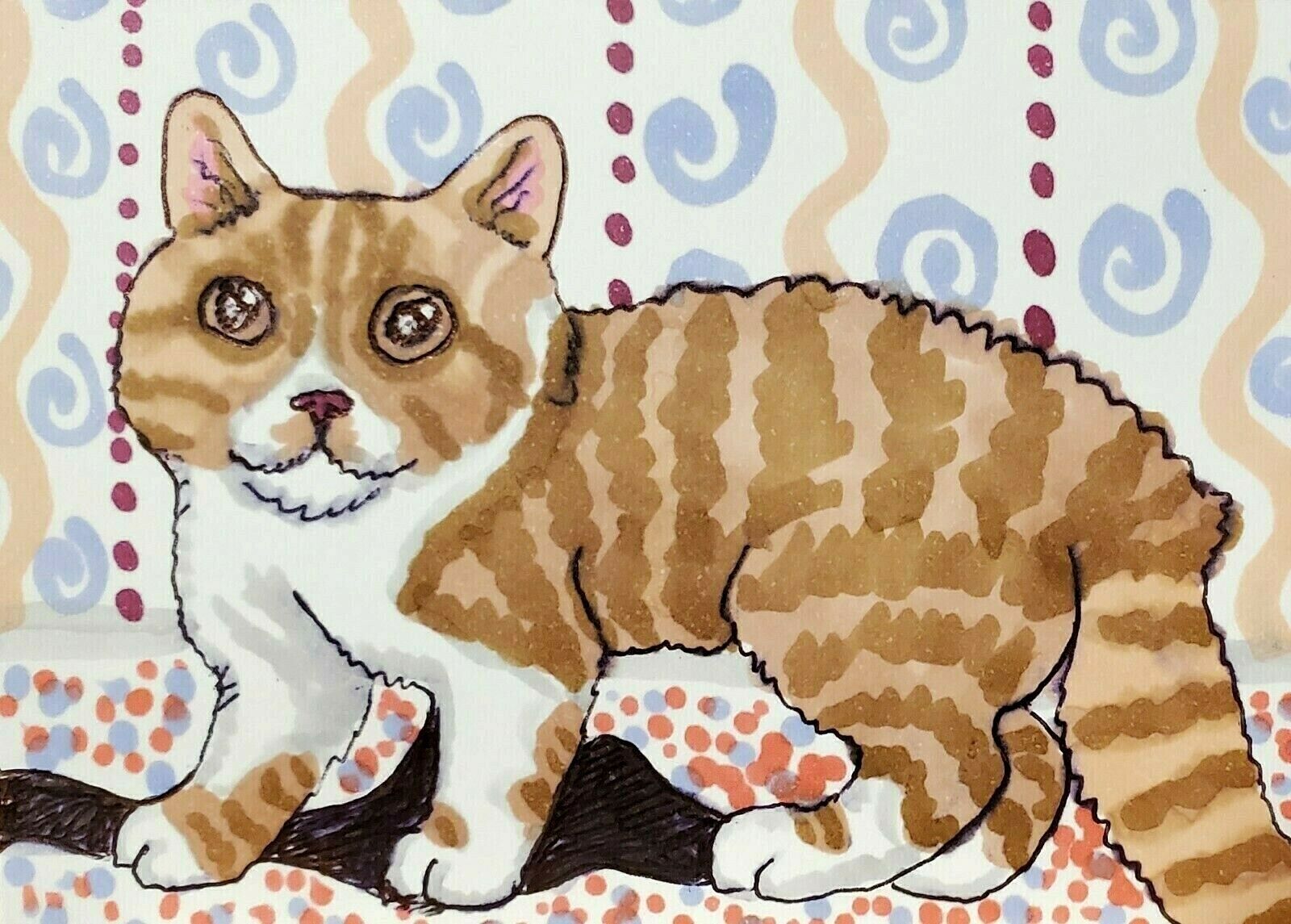 Selkirk Rex Stare 8 x 10 Cat Kitty Folk Art Print Collectible Artist KSams