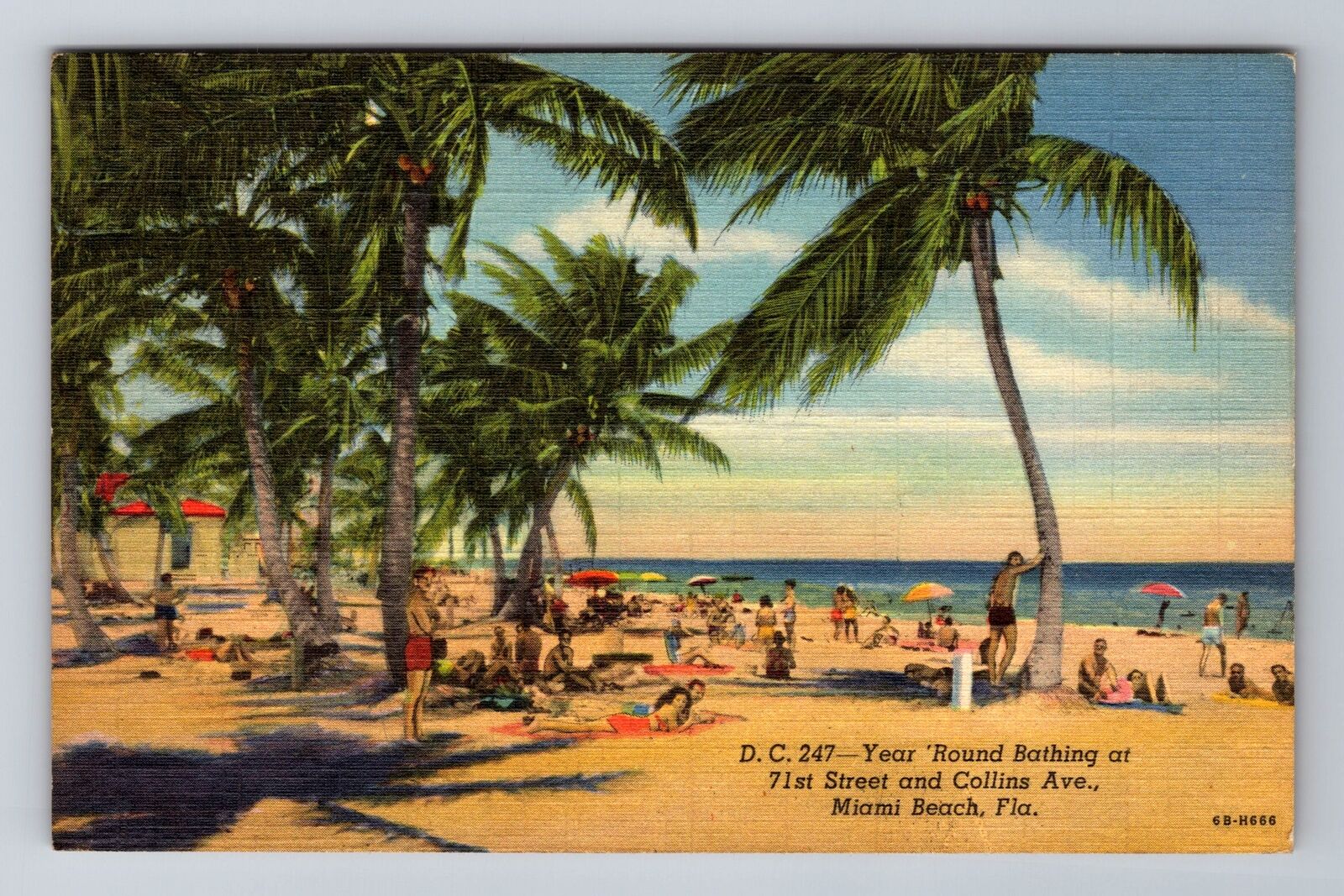 Miami Beach FL-Florida, Year Round Bathing, Antique, Vintage Souvenir Postcard