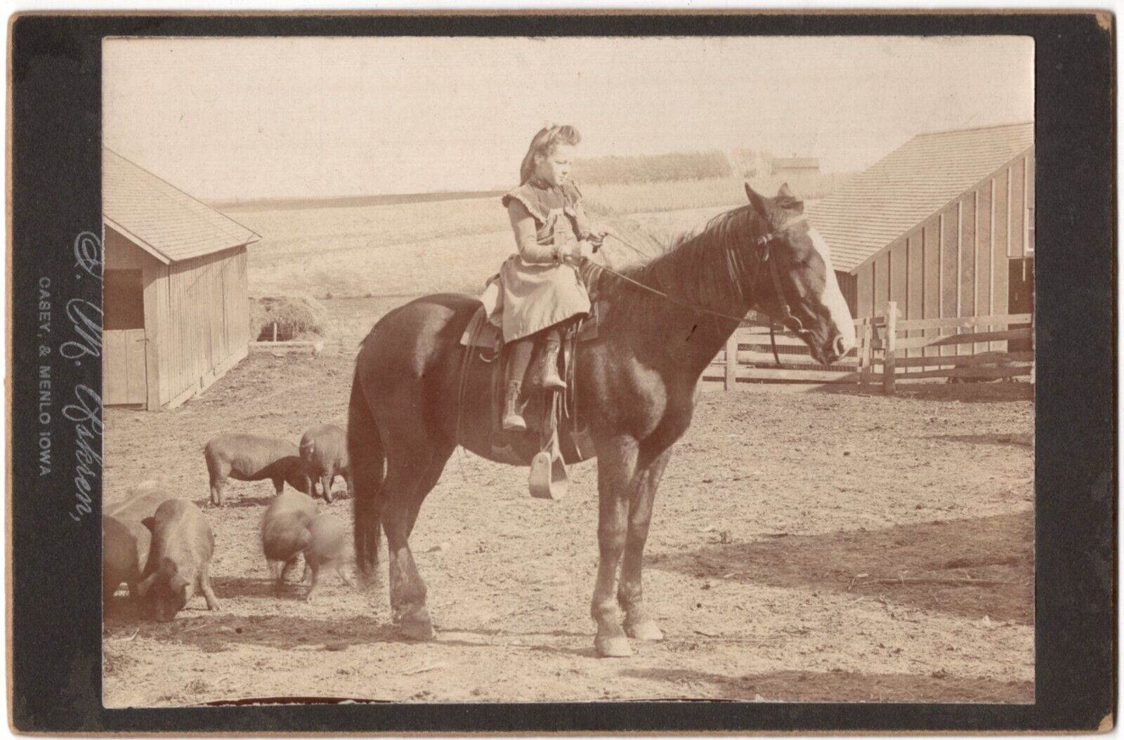 CIRCA 1900s CABINET CARD F.M. PSKSEN LITTLE GIRL RIDING HORSE ON FARM CASEY IOWA