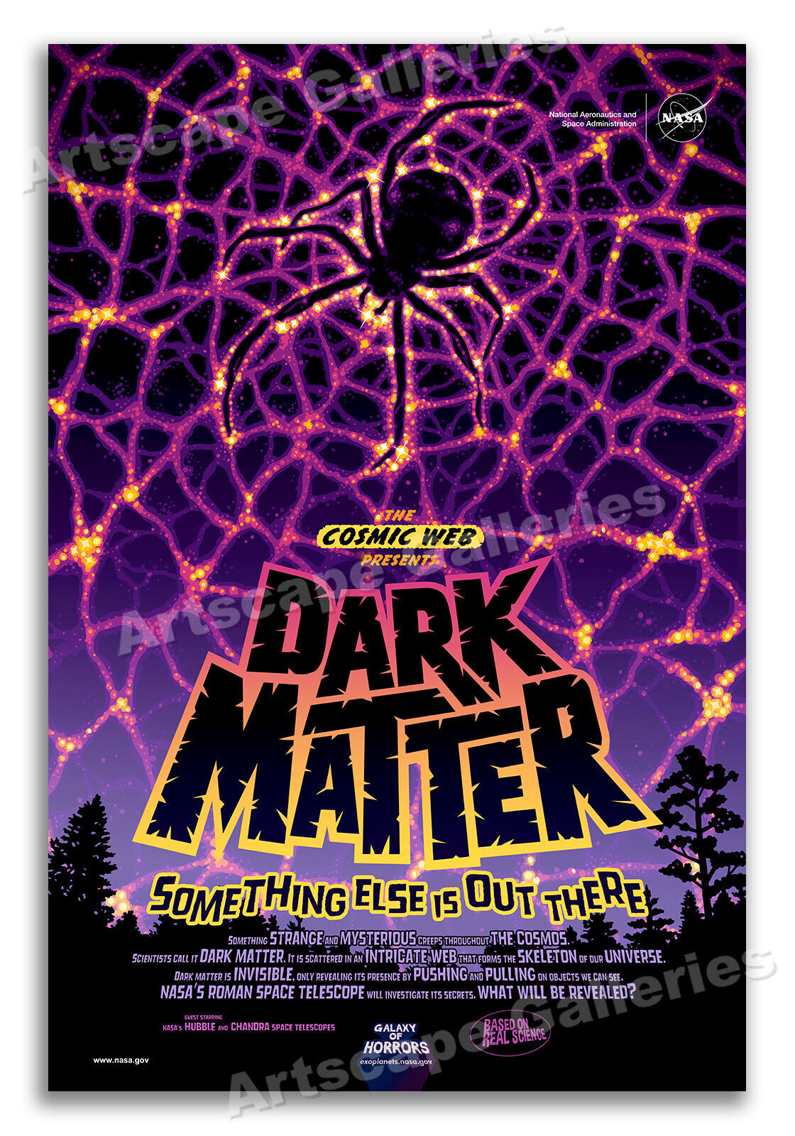 Dark Matter  Something Else is Out There NASA Movie Style Poster - 16x24