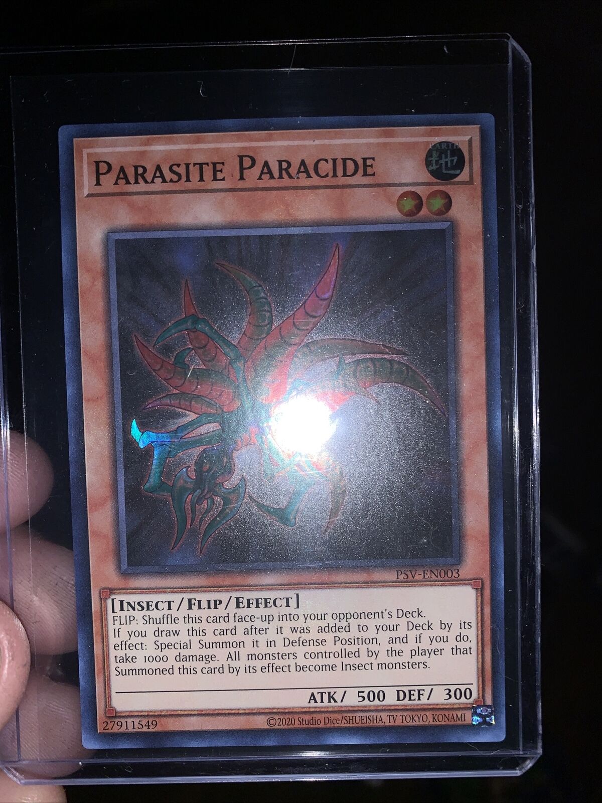 Parasite Paradise 