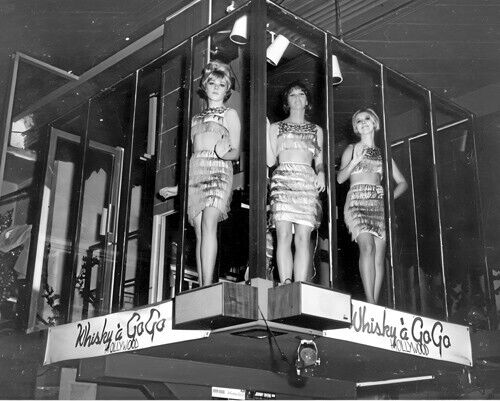 Go Go Dancers in Cage at Whiskey A Go Go Hollywood, CA  January 25, 1965 Photo
