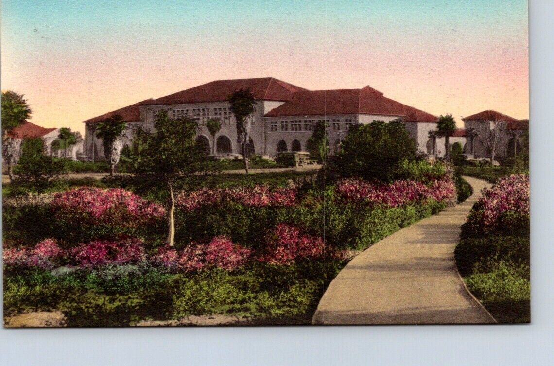 Palo Alto CA Stanford University Hyde Books Albertype Hand Colored postcard IQ16